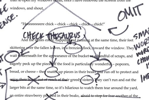Get Help With College Admissions Essays