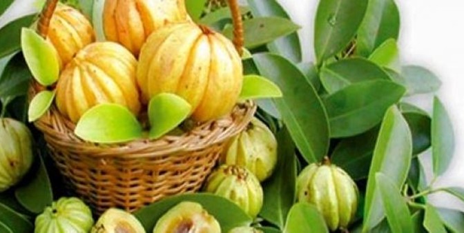 Miracles Of Garcinia Cambogia - Weight Loss Suppliment