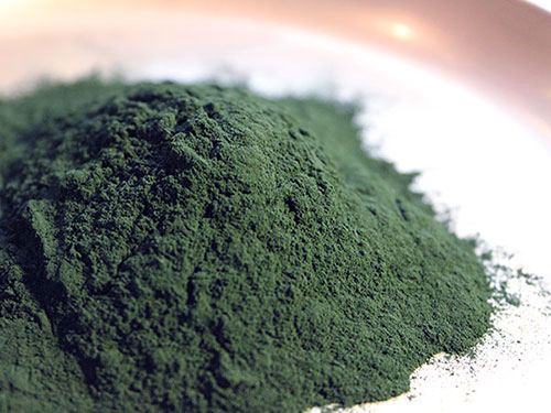 Spirulina Powder and The Benefits You Get