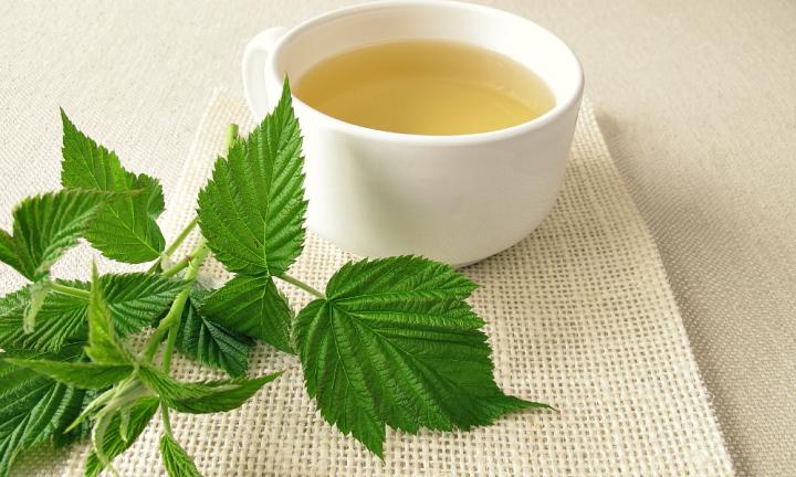 Wonder Drink: 9 Ways Herbal Tea Let You Live A Healthy Life!
