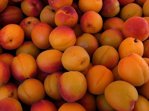 apricots