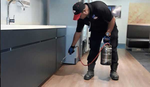Pest Control Services To Ensure Your Family's Good Health